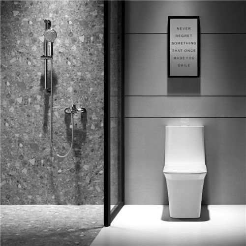 解決衛生間的終極難題，箭牌衛浴一步搞定